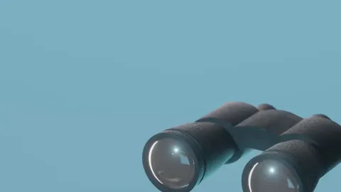 The view through binoculars sweeping the distance.
