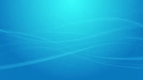 Ocean blue moving in slow, even swells.