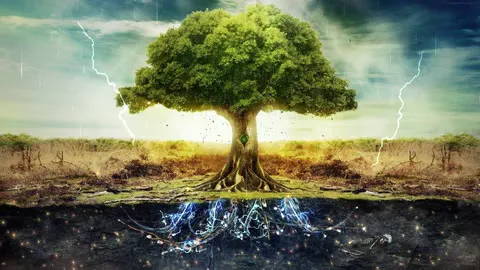 Roots winding through the earth beneath an old tree.